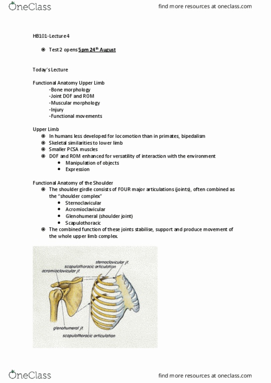 HPE110 Lecture Notes - Lecture 4: Pivot Joint, Carpal Bones, Supraspinatus Muscle thumbnail