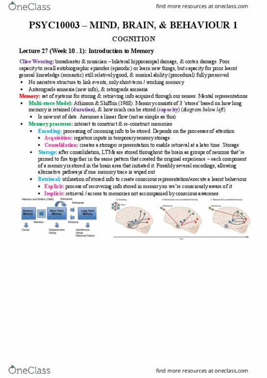 PSYC10003 Lecture Notes - Lecture 28: Anterograde Amnesia, Retrograde Amnesia, Clive Wearing thumbnail