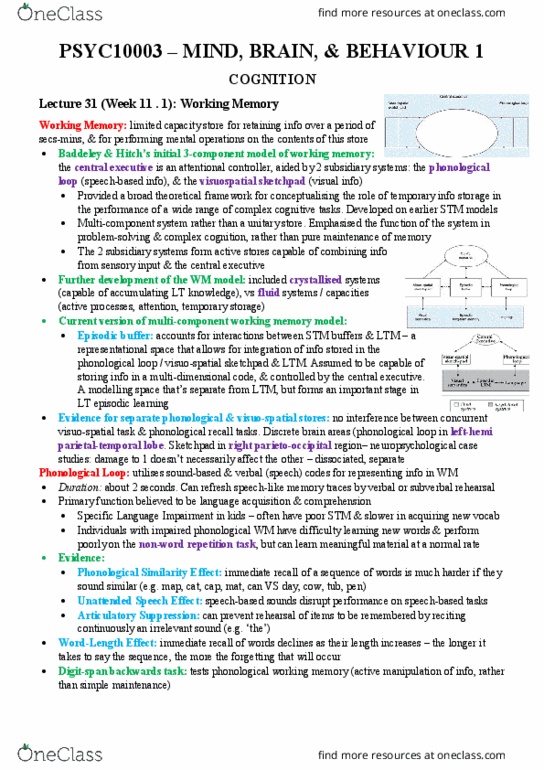 PSYC10003 Lecture Notes - Lecture 31: Prefrontal Cortex, Change Detection, Iconic Memory thumbnail