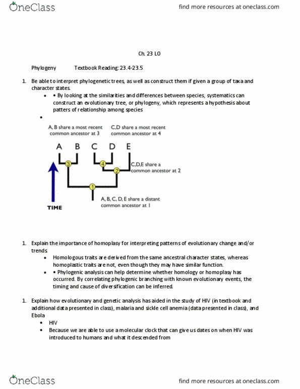 BIOL 1082 Lecture Notes - Lecture 6: Molecular Clock, Sickle-Cell Disease, Malaria thumbnail