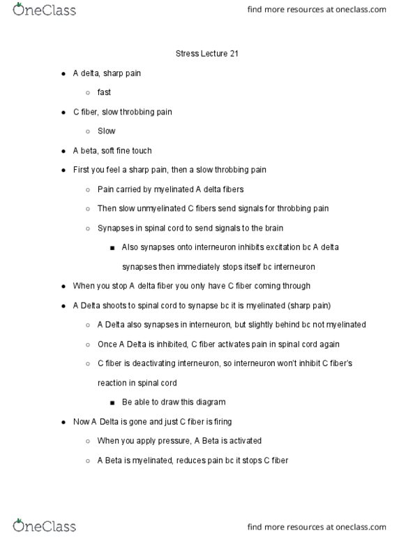 BIO SCI 47 Lecture Notes - Lecture 21: Posterior Grey Column, Glucocorticoid, Endorphins thumbnail