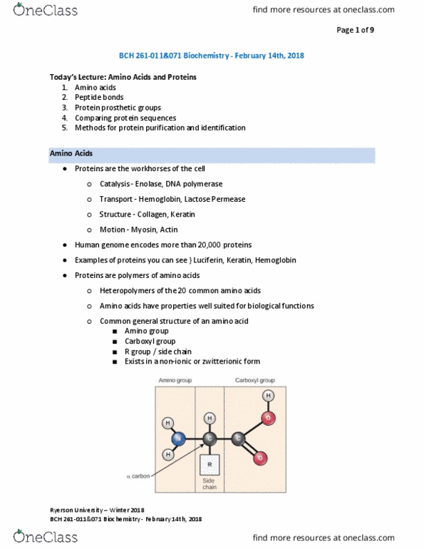 BCH 261 Lecture Notes - Lecture 6: Histidine, Tetrapeptide, Cystine thumbnail