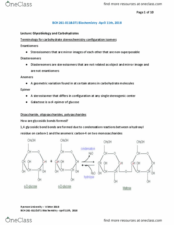 BCH 261 Lecture Notes - Lecture 13: Thrombin, Selectin, Animism thumbnail