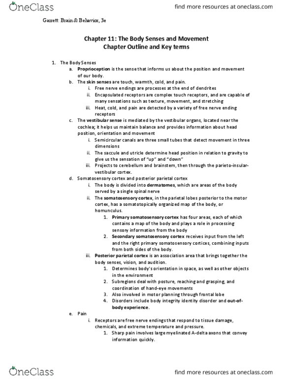 PSY 250 Lecture Notes - Lecture 44: Huntingtin, Striatum, Neuroglia thumbnail