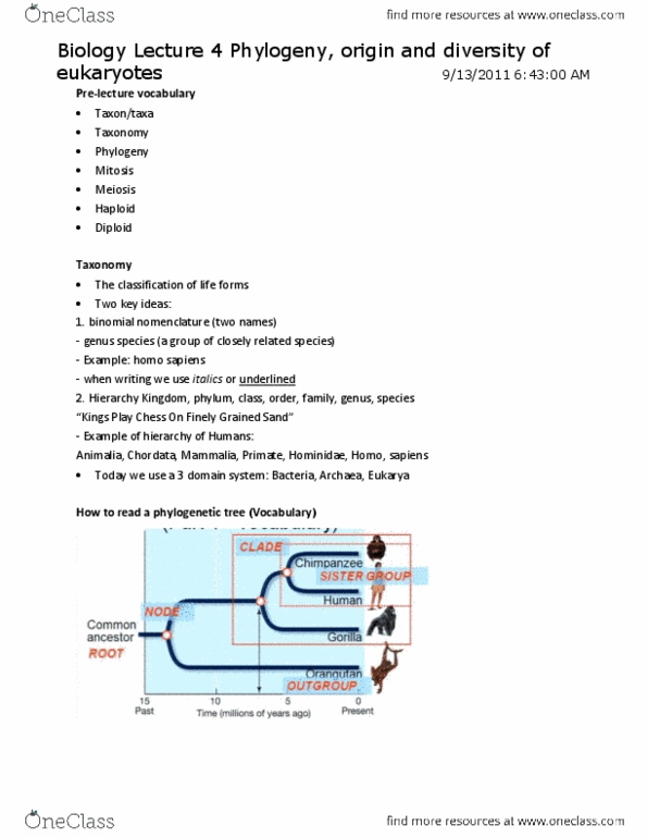 BIOL 111 Lecture Notes - Lecture 4: Binomial Nomenclature, Homo Sapiens, Endoplasmic Reticulum thumbnail