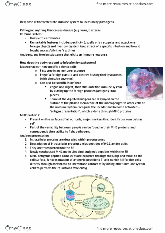 BIOL1102 Lecture Notes - Lecture 3: Coagulase, Antibody, Viral Envelope thumbnail
