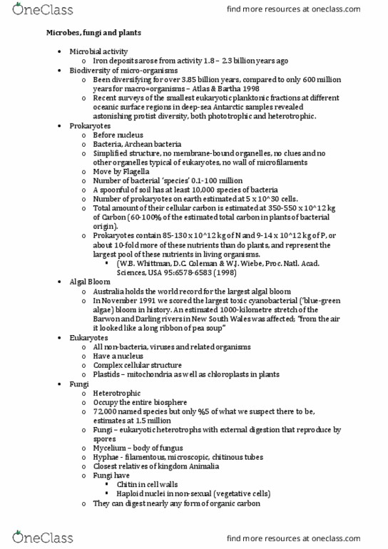 BIOL1131 Lecture Notes - Lecture 7: Lignin, Decomposer, Saprotrophic Nutrition thumbnail