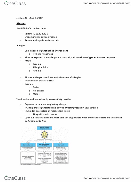 MIMM 214 Lecture Notes - Lecture 36: Allergic Rhinitis, Immunoglobulin Class Switching, Mast Cell thumbnail