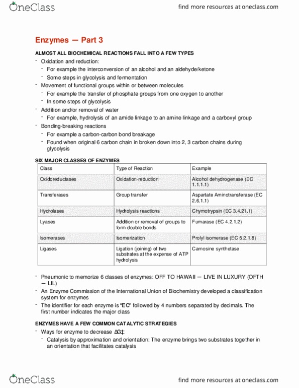 BCEM 393 Lecture Notes - Lecture 9: Lactase, Chromogenic, Competitive Inhibition thumbnail