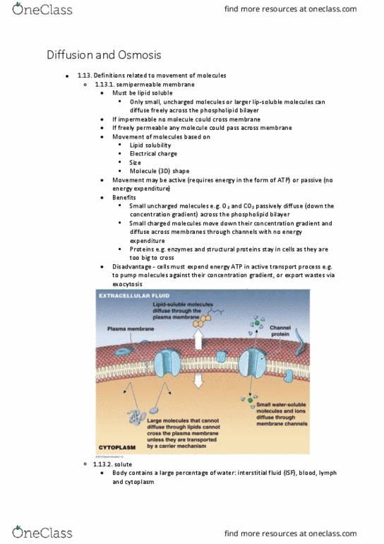 BIOL125 Lecture Notes - Lecture 4: Lipid Bilayer, Semipermeable Membrane, Extracellular Fluid thumbnail