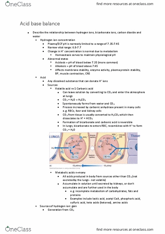 BIOL126 Lecture Notes - Lecture 6: Respiratory Alkalosis, Hypercapnia, Hypocapnia thumbnail