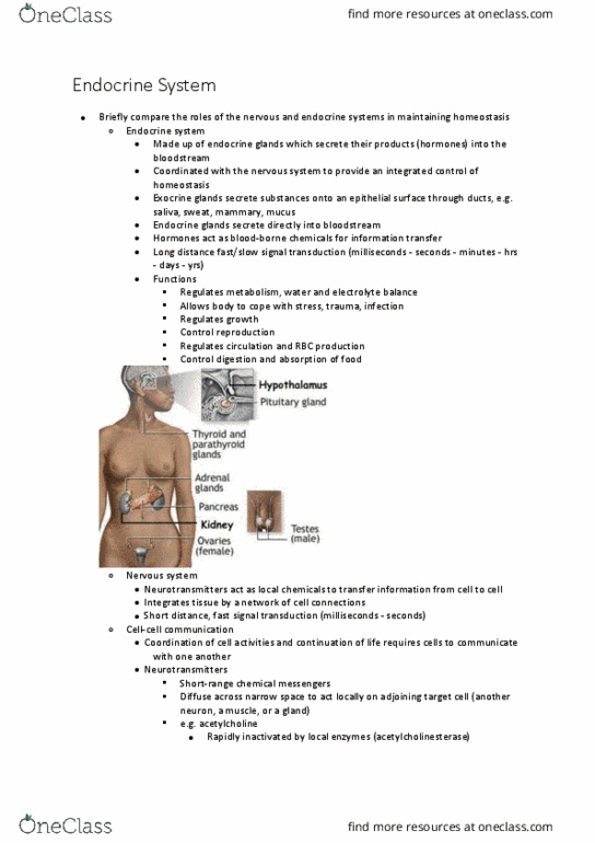 BIOL126 Lecture Notes - Lecture 2: Osteomalacia, Homeostasis, Libido thumbnail