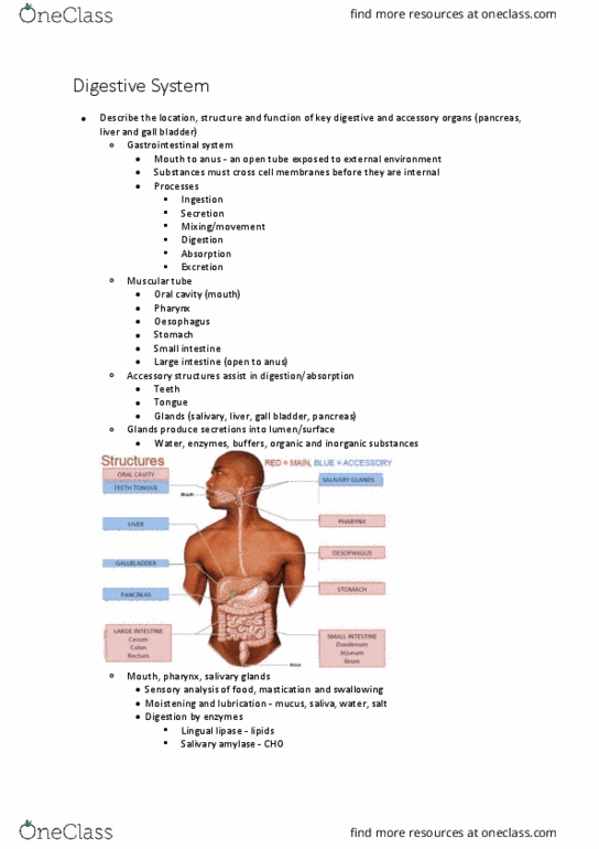 BIOL126 Lecture Notes - Lecture 3: Starch, Fructose, Cirrhosis thumbnail