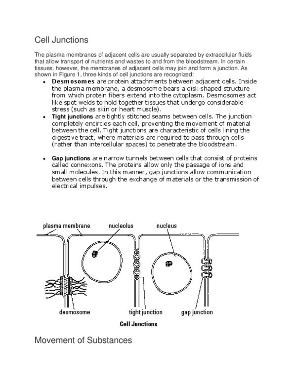 BSC 215 Lecture 3: Cell Junctions thumbnail