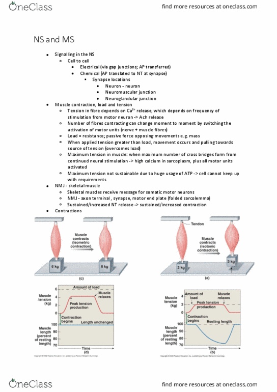 BIOL125 Lecture Notes - Lecture 29: Syncytium, Cardiac Muscle, Endoplasmic Reticulum thumbnail