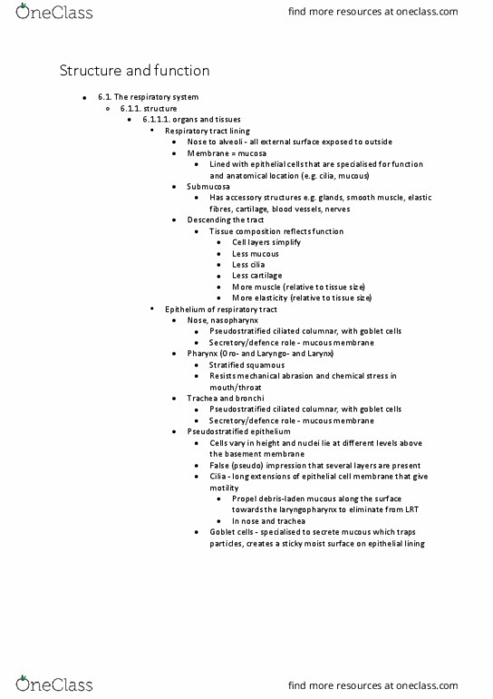 BIOL125 Lecture Notes - Lecture 25: Palatine Uvula, Pericardium, Paranasal Sinuses thumbnail