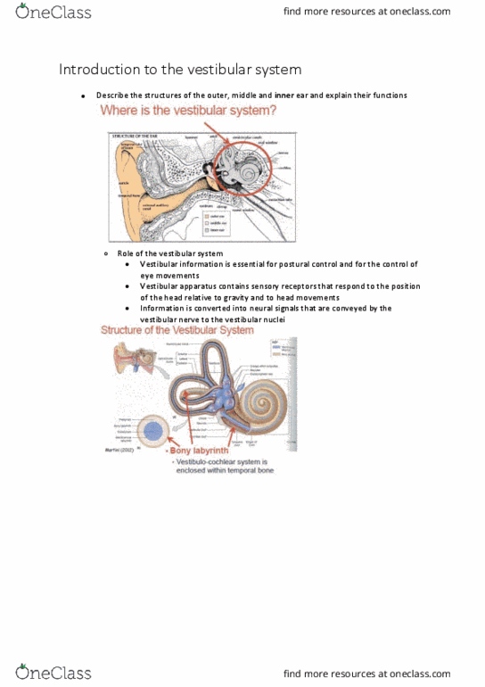 PHTY209 Lecture Notes - Lecture 12: Superior Colliculus, Extraocular Muscles, Special Senses thumbnail