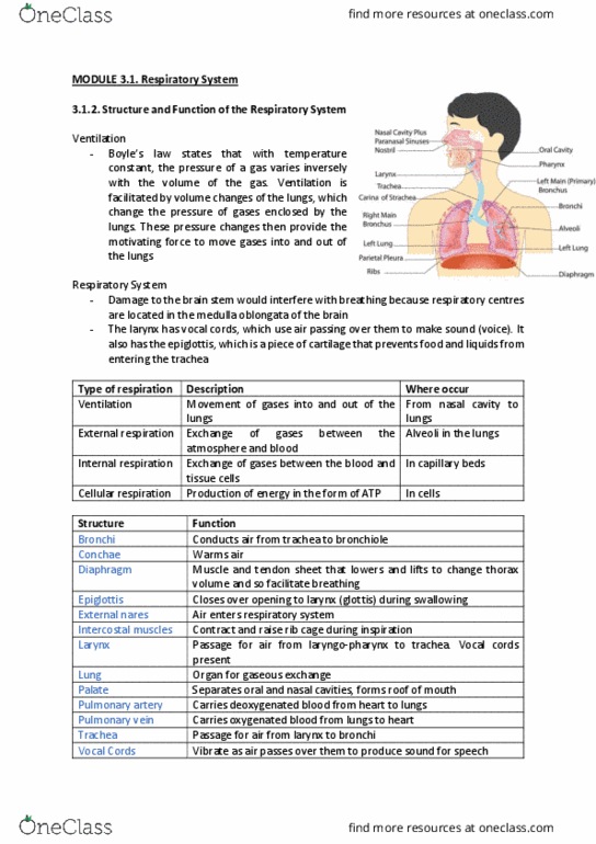 BIOL1008 Chapter Notes - Chapter 4: Chronic Obstructive Pulmonary Disease, Sputum, Tuberculosis thumbnail