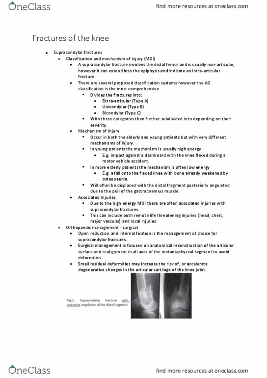 PHTY206 Lecture Notes - Lecture 20: Neurovascular Bundle, Common Peroneal Nerve, External Fixation thumbnail