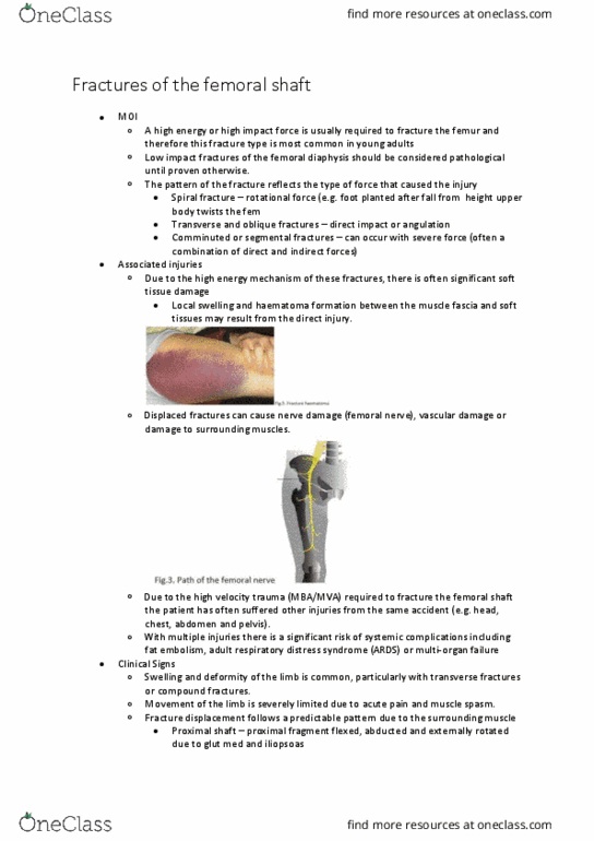 PHTY206 Lecture Notes - Lecture 22: Epiphyseal Plate, Ligament, Periosteum thumbnail