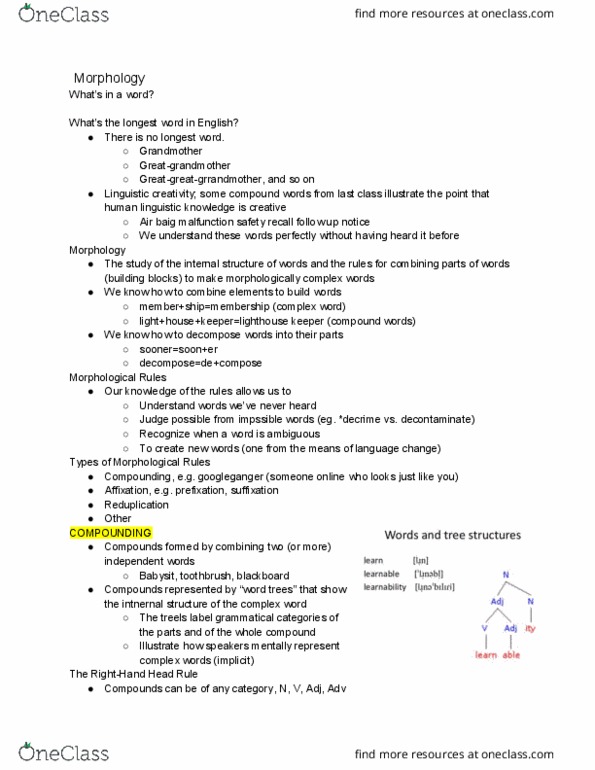 LING 1 Lecture Notes - Lecture 3: Third-Person Pronoun, Bracketing, Ecotourism thumbnail