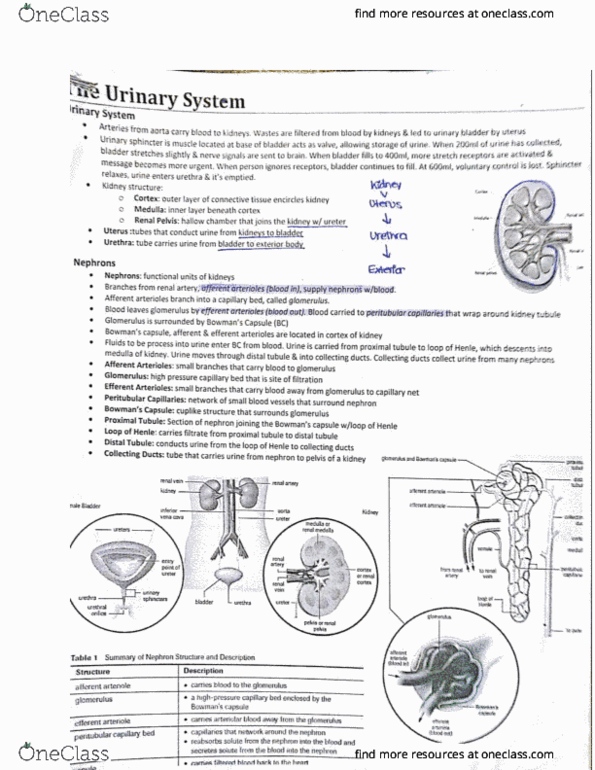 document preview image