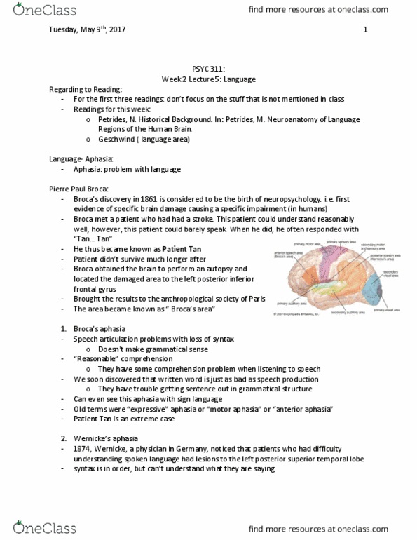 PSYC 311 Lecture Notes - Lecture 5: Postcentral Gyrus, Putamen, Claustrum thumbnail