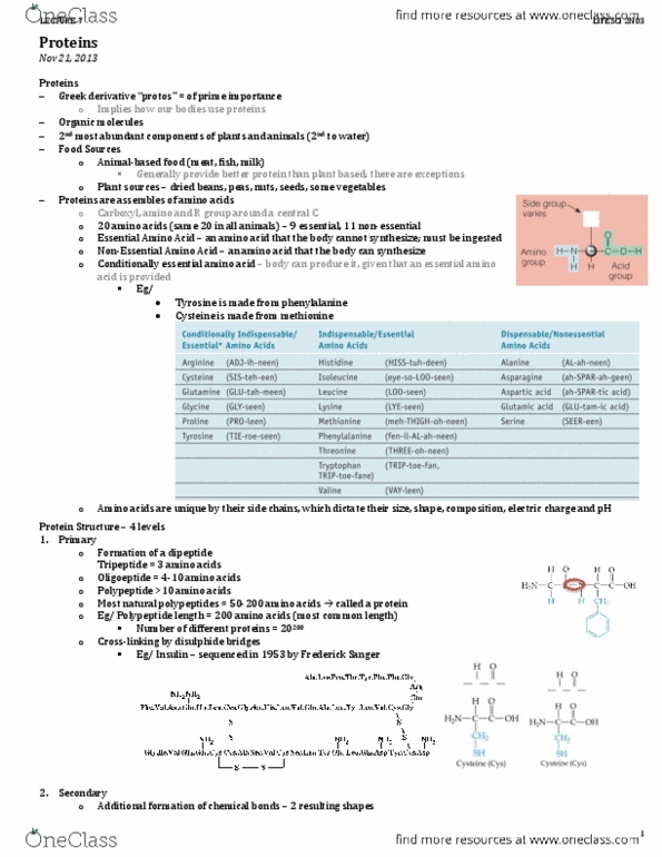 LIFESCI 2N03 Lecture Notes - Glucogenic Amino Acid, Essential Amino Acid, Egg White thumbnail