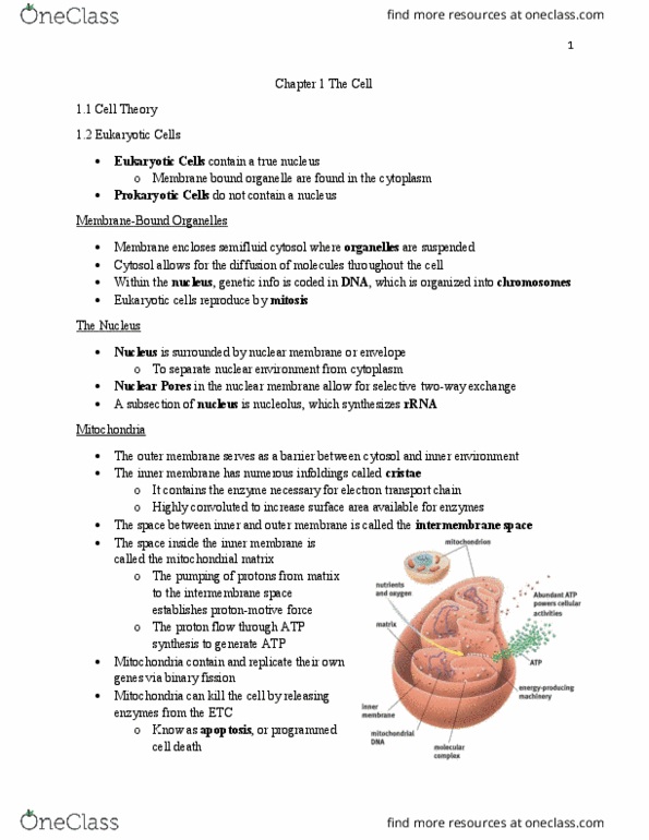 BIOL 22000 Lecture Notes - Lecture 1: Methionine, Leptospira Interrogans, Vitamin K thumbnail