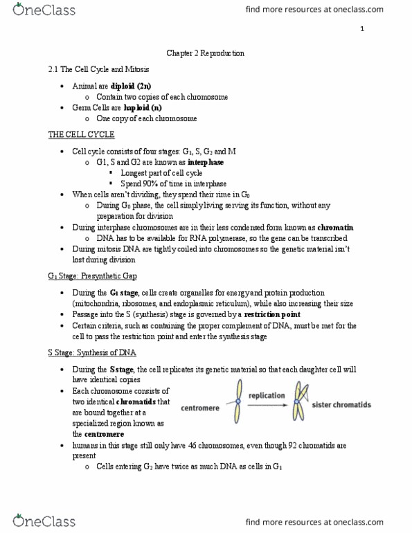 BIOL 22000 Lecture Notes - Lecture 2: Prostate, Zygote, Gonadotropin thumbnail