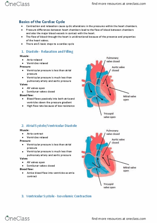 CAM201 Lecture Notes - Lecture 4: Systolic Geometry, Valvular Heart Disease, Heart Valve thumbnail