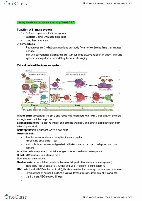 IMM2011 Lecture Notes - Lecture 4: Adaptive Immune System, Innate Immune System, Neutropenia thumbnail
