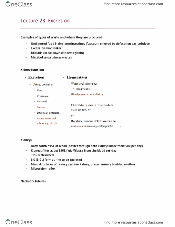 BIOL1008 Lecture 23: Lecture 23 thumbnail