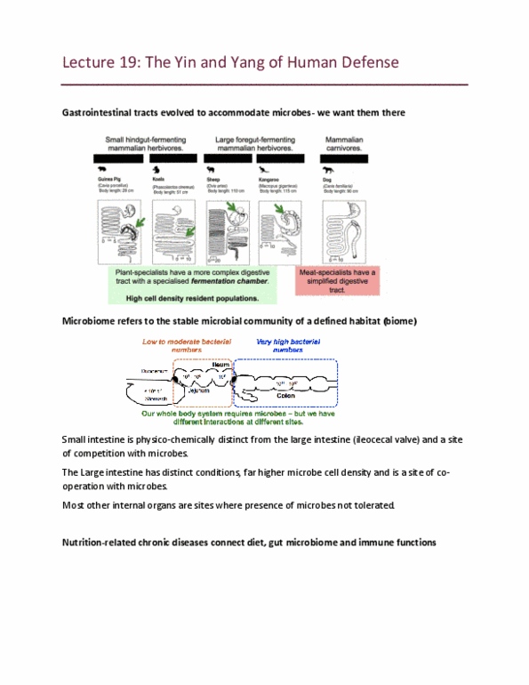 document preview image