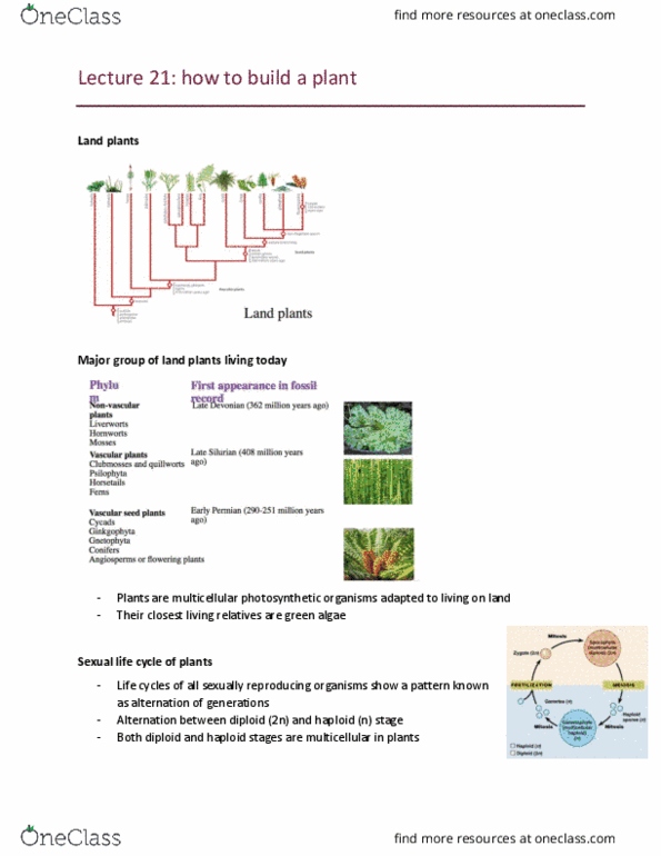 document preview image