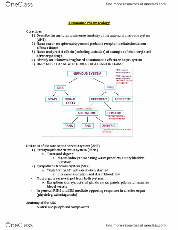 BIOM 3090 Lecture Notes - Lecture 10: Autonomic Nervous System, Neurochemistry, Postganglionic Nerve Fibers thumbnail