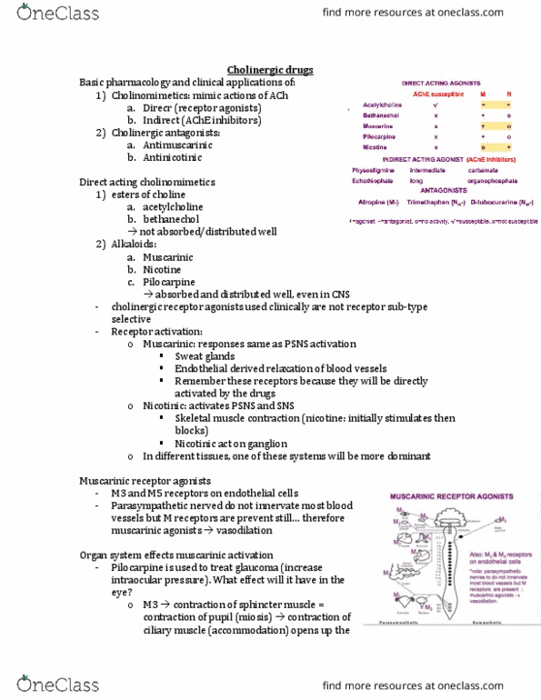 BIOM 3090 Lecture Notes - Lecture 13: Acetylcholine Receptor, Parasympathomimetic Drug, Nicotinic Acetylcholine Receptor thumbnail