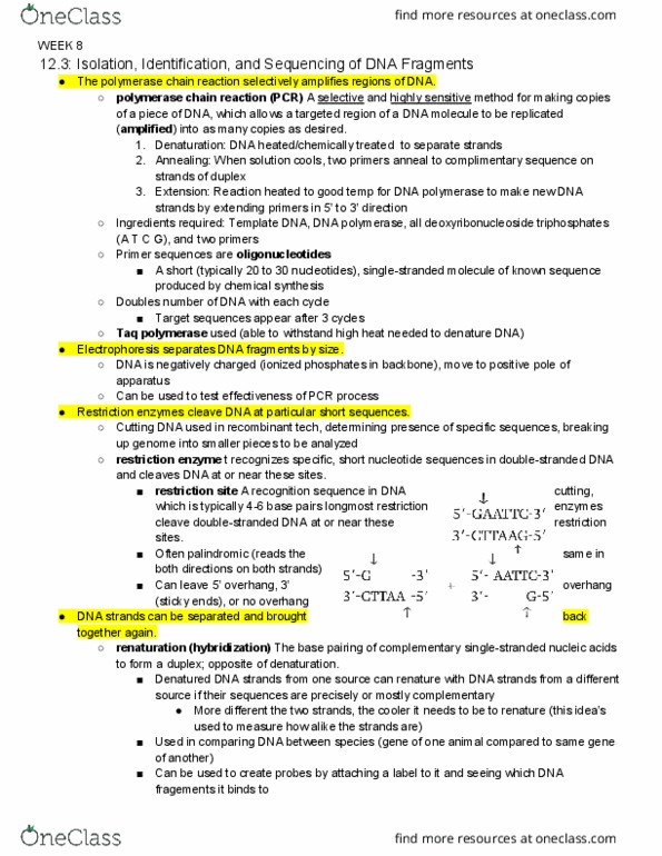 LIFESCI 7A Lecture Notes - Lecture 8: Recombinant Dna, Restriction Enzyme, Restriction Site thumbnail