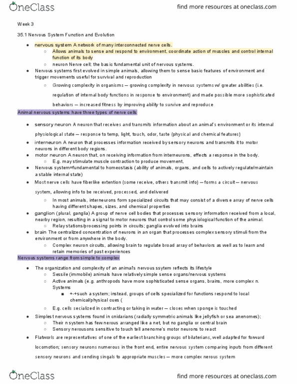 LIFESCI 7C Lecture Notes - Lecture 3: Sensory Neuron, Axon Hillock, Motor Neuron thumbnail