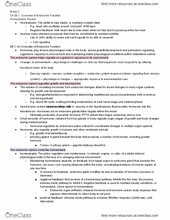 LIFESCI 7C Lecture Notes - Lecture 2: Prothoracicotropic Hormone, Ecdysone, Positive Feedback thumbnail