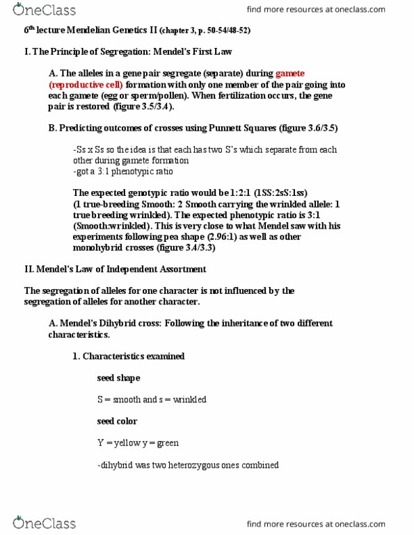 BME 80H Lecture Notes - Lecture 6: Dihybrid Cross, Mendelian Inheritance, Gamete thumbnail