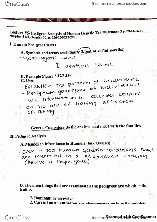 BME 80H Lecture 14: *14th lecture-80H* thumbnail