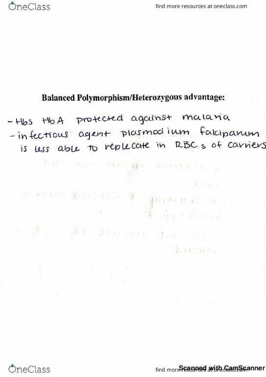 BME 80H Lecture 15: *15th lecture-80H* thumbnail