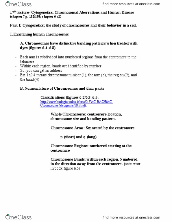 BME 80H Lecture Notes - Lecture 17: Cytogenetics, Centromere, Karyotype thumbnail