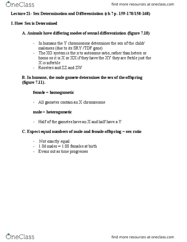 BME 80H Lecture Notes - Lecture 21: Y Chromosome, Sexual Differentiation, Gamete thumbnail