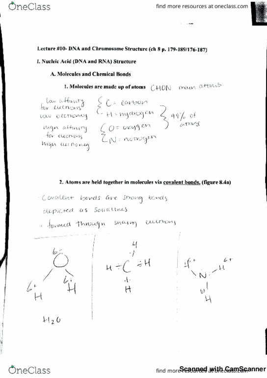 BME 80H Lecture 23: *23rd lecture-80h* thumbnail