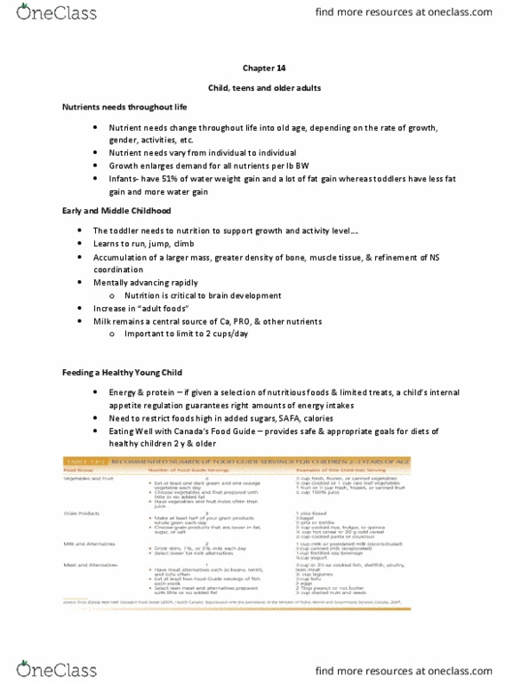 Foods and Nutrition 1021 Lecture Notes - Lecture 14: Healthy Diet, Good Energy, Vomiting thumbnail