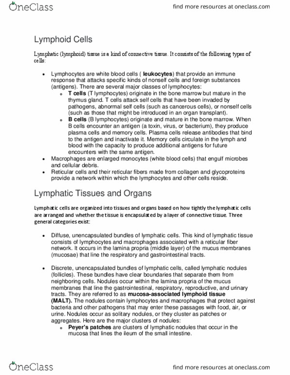 BSC 215 Lecture Notes - Lecture 44: Lamina Propria, Reticular Connective Tissue, Reticular Fiber thumbnail