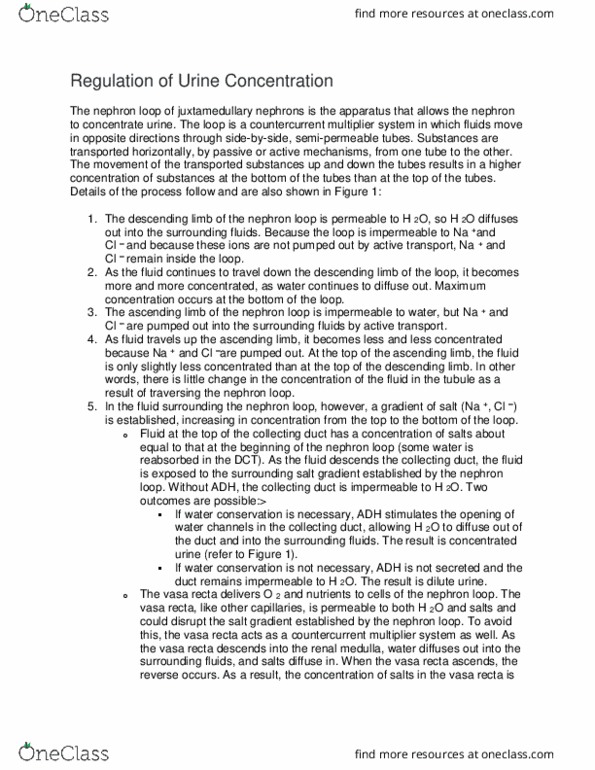 BSC 215 Lecture Notes - Lecture 56: Descending Limb Of Loop Of Henle, Collecting Duct System, Renal Medulla thumbnail