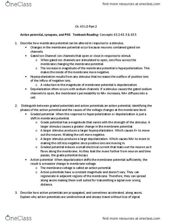 BIOL 1082 Lecture Notes - Lecture 39: Membrane Potential, Excitatory Postsynaptic Potential, Motor Neuron thumbnail